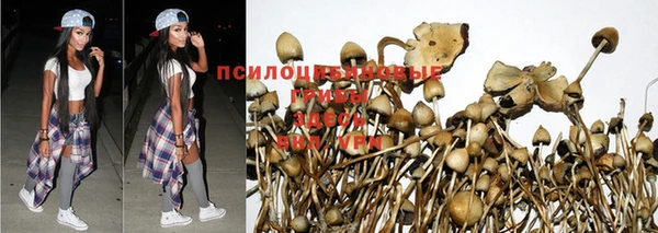 соль ск Пестово