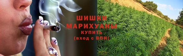 соль ск Пестово