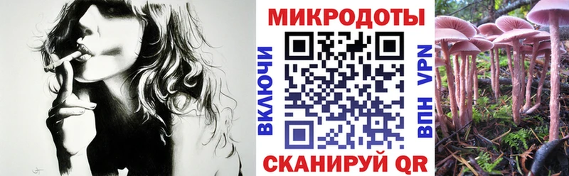 Галлюциногенные грибы мицелий Агидель